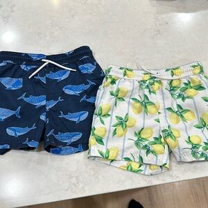 Janie and Jack Swim Trunks Bundle